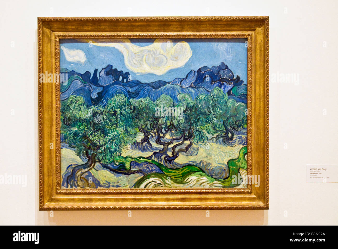 Gemälde von Vincent Van Gogh, "Den Olivenbäumen", das Museum für moderne Kunst Stockfoto