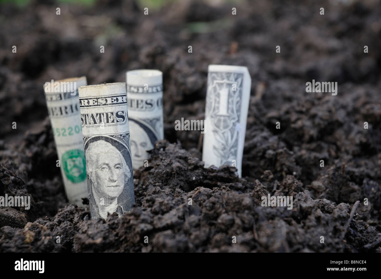 Vier 1-Dollar-Rechnungen im Boden Stockfoto