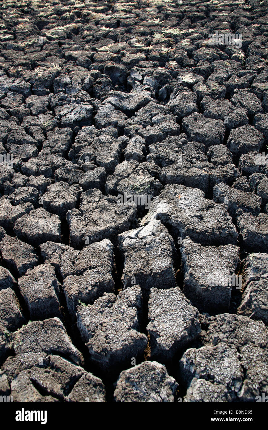 Tief rissige Schlamm in einem ausgetrockneten wateringhole Stockfoto