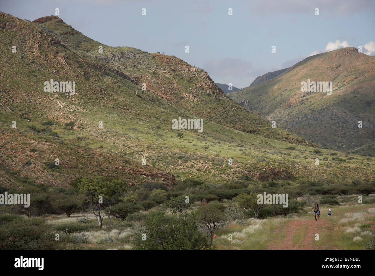 Wanderer zu Fuß auf einem Pfad in die Naukluft-Berge Stockfoto