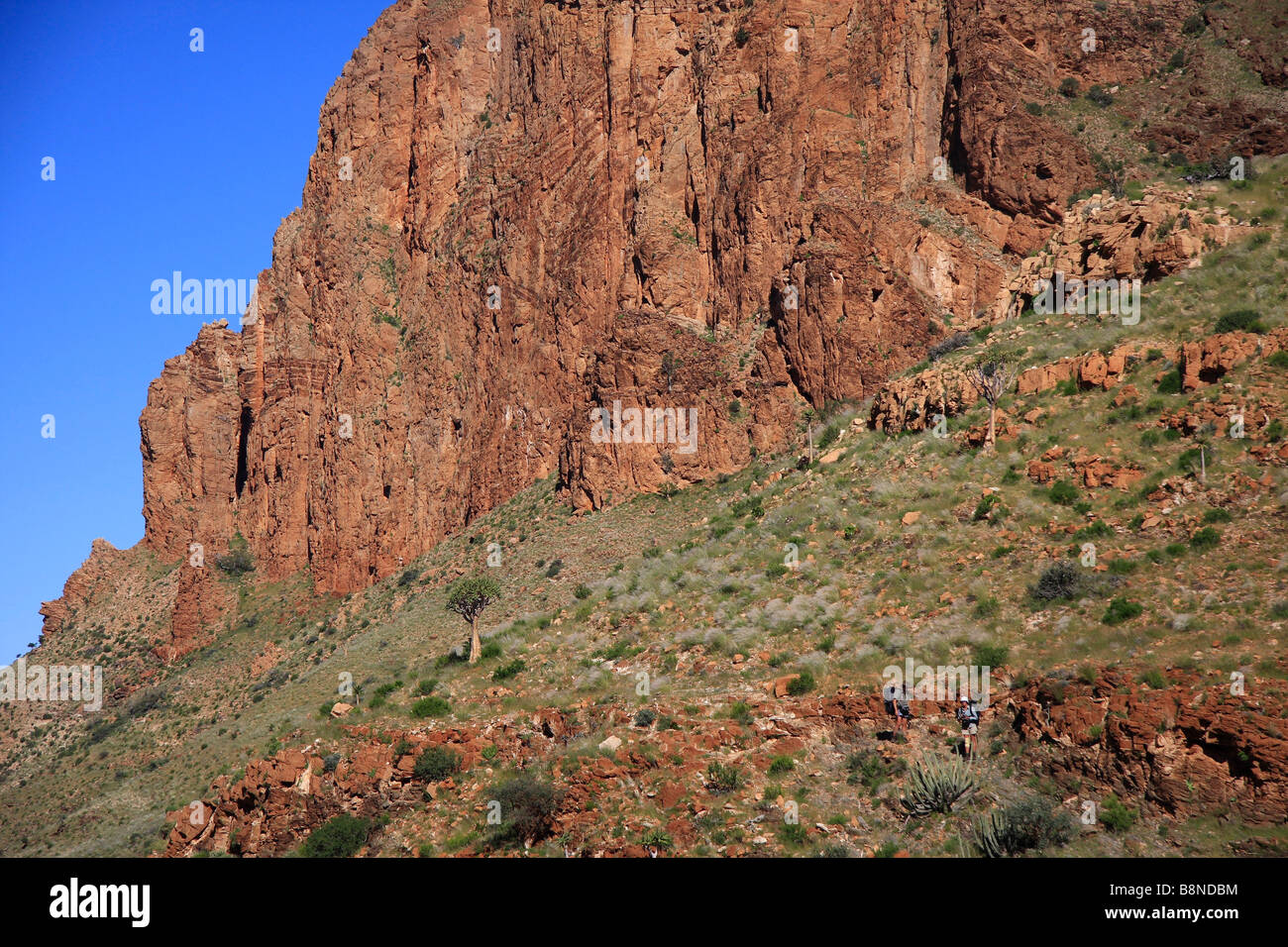 Wanderer gegen die grünen Landschaft mit hohen Felsklippen der Naukluftberge in den Schatten gestellt Stockfoto