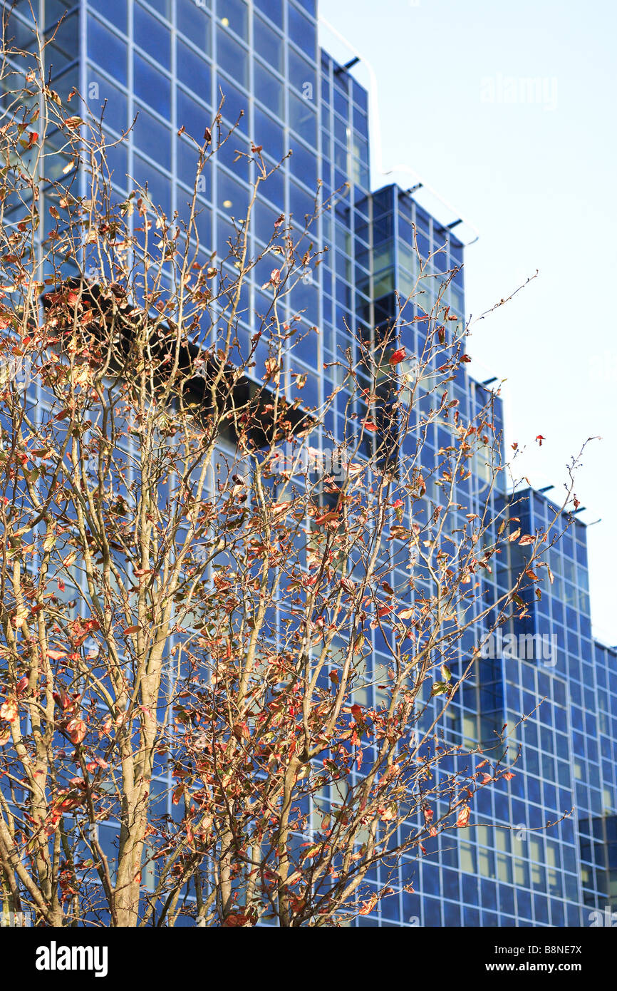 Die nördlichen und Shell Gebäude niedriger Themse Straße City of London England Stockfoto