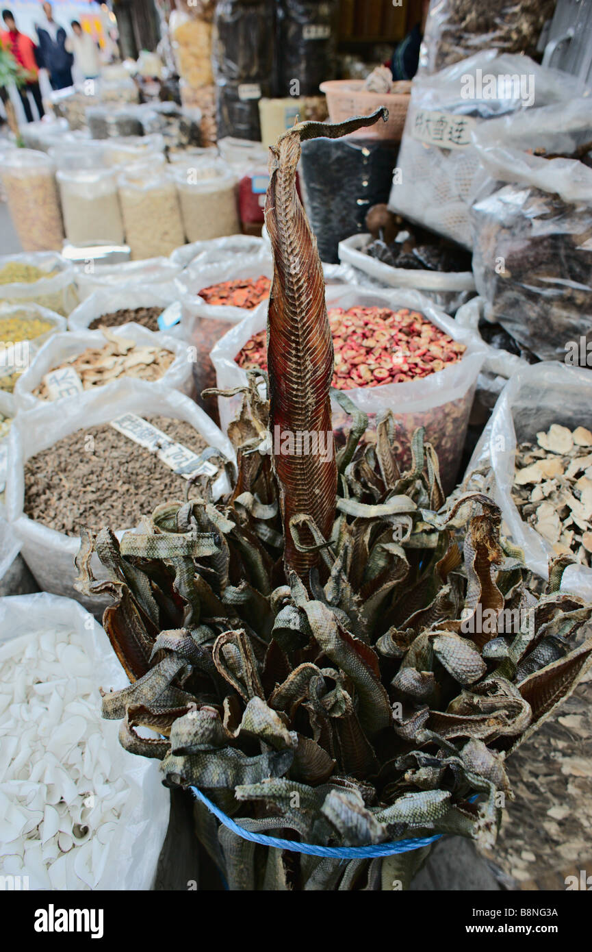 Getrocknete Schlange unter den exotischen Nahrungsmitteln zum Verkauf in Straßenmarkt Guangzhou China Stockfoto