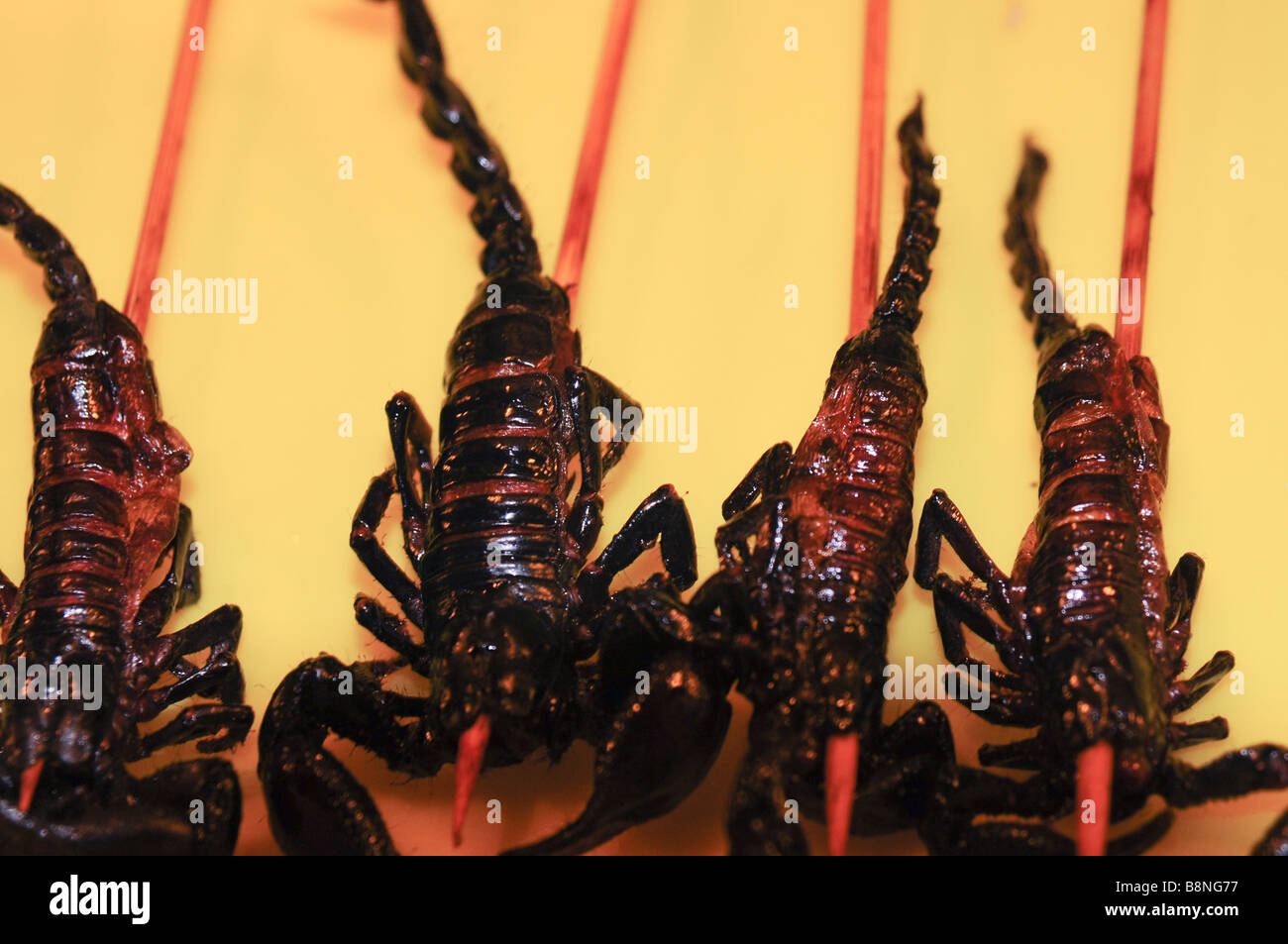China Peking lokales Essen aufgespießt Skorpione Stockfoto