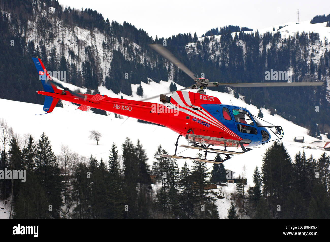 Chopper HB XSO Eurocopter als 350 B2 Ecureuil der Air-Glaciers in Aktion in einem engen Gebirgstal, Schweiz Stockfoto