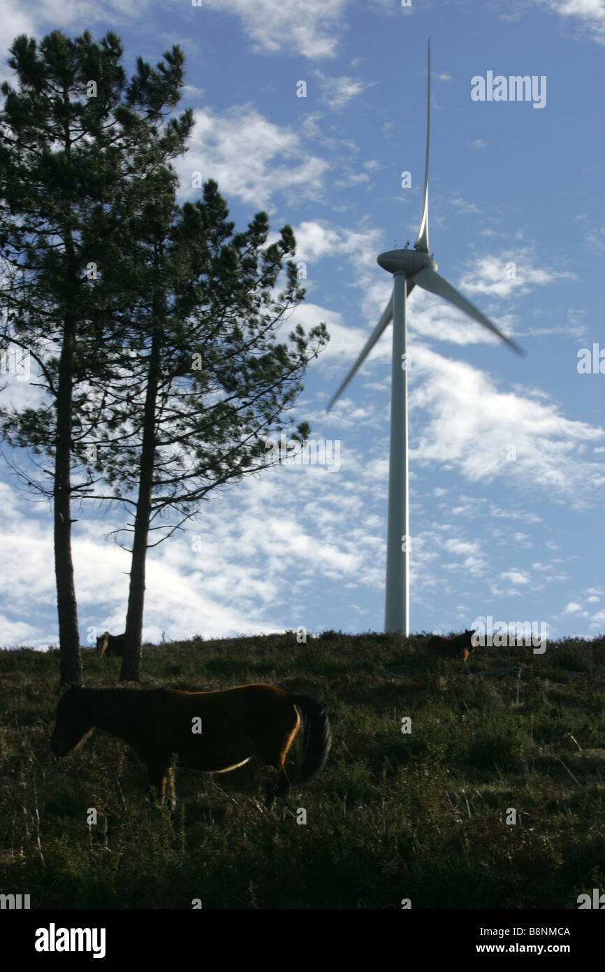 Pferd in der Nähe einer Windturbine in Alto Minho im Norden von Portugal. Stockfoto