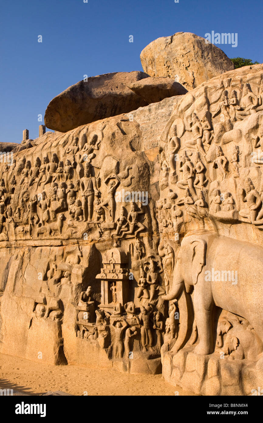 Indien Tamil Nadu Mamallapuram Arjunas Buße Hindu Felsen schnitzen aus dem Panchatanra Stockfoto