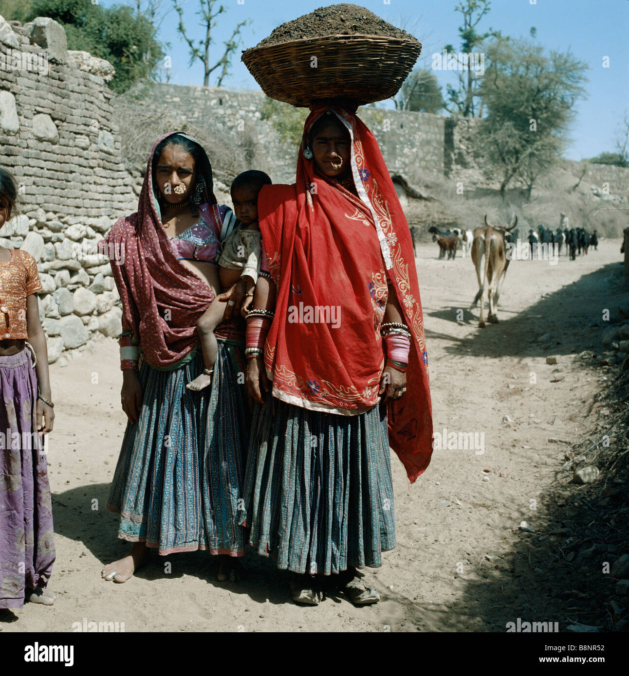 Frauen-Arbeiter mit schweren Korb mit Erde auf Kopf Rajasthan Indien Stockfoto