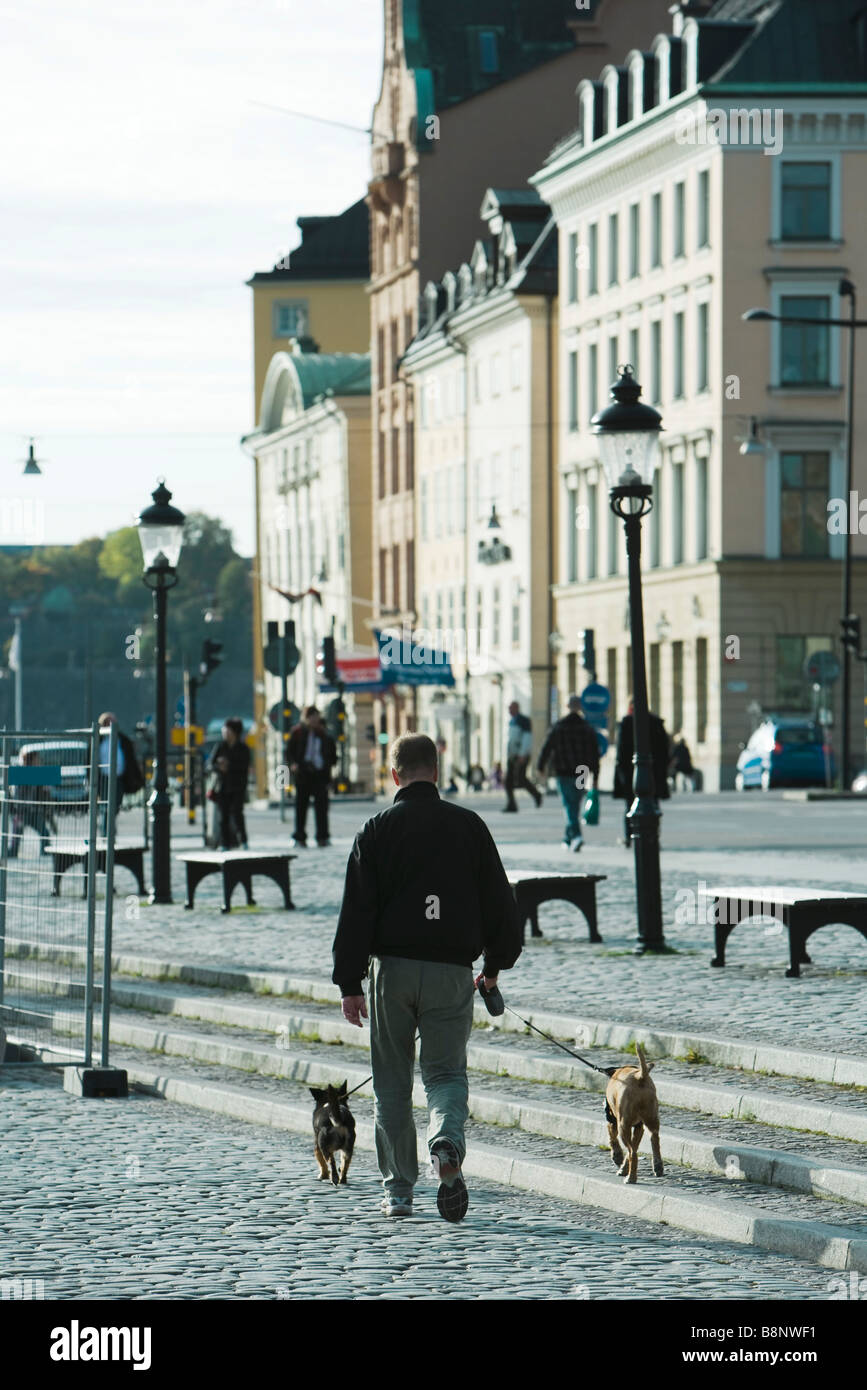 Schweden, Stockholm, Mann loslaufende Hunde auf gepflasterten Stufen Stockfoto