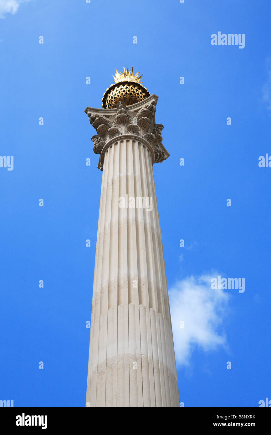 Spalte Denkmal Paternoster Square City of London England Stockfoto