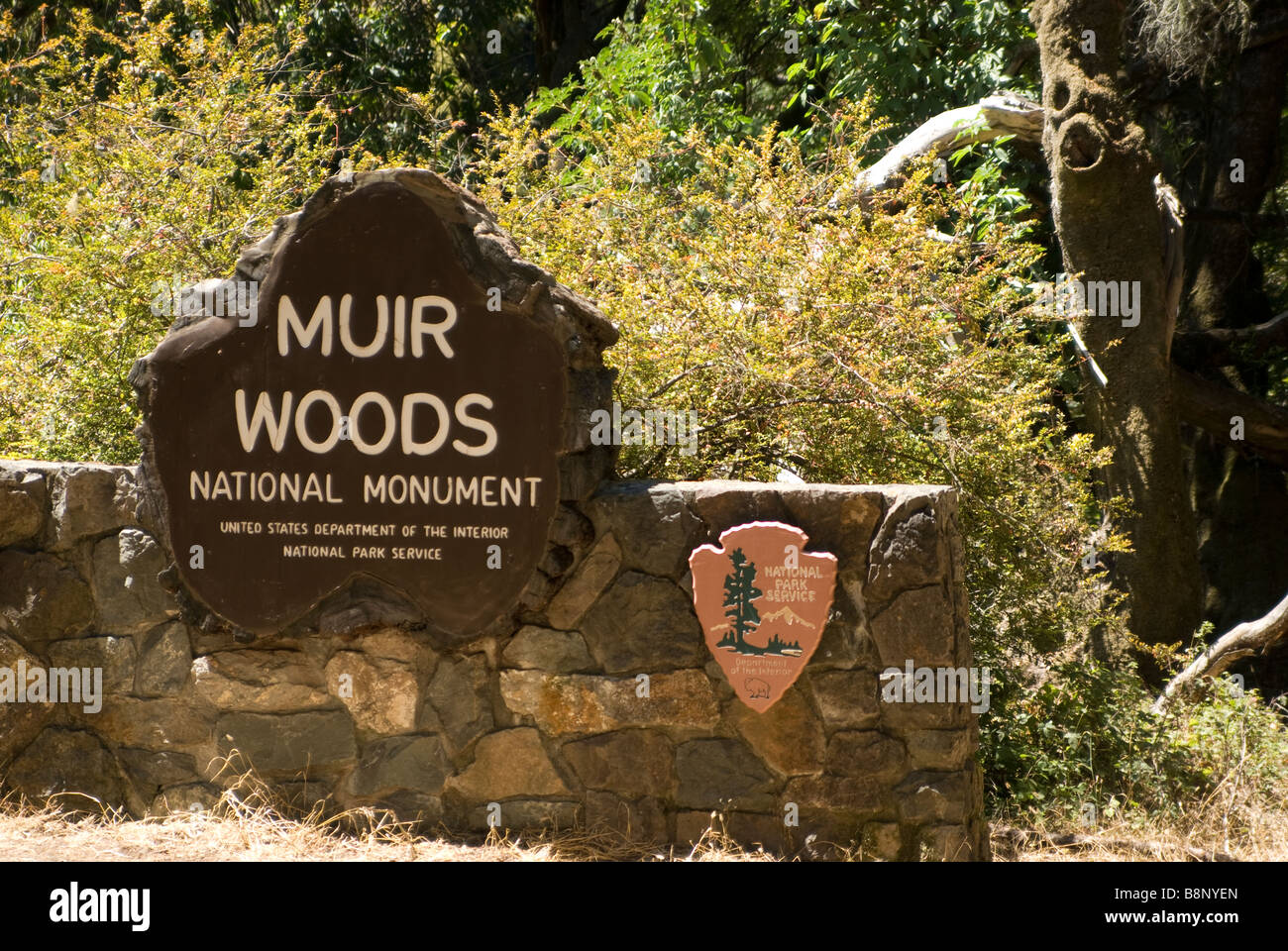 Namensschild von Muir Woods am Eingang des Nationalparks in Kalifornien, USA Stockfoto