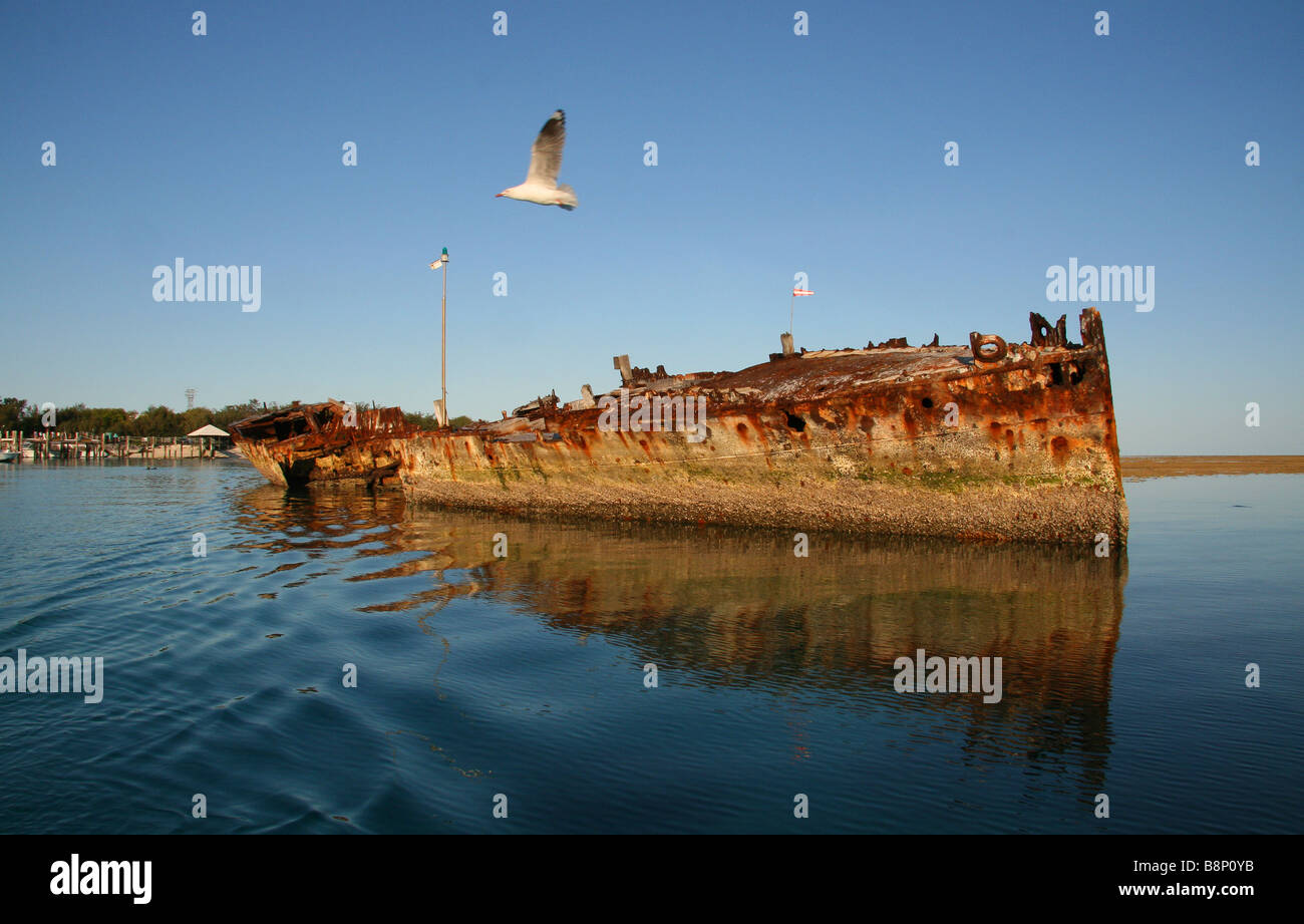 Seagul fliegen über das Schiffswrack an der Einfahrt zum Hafen auf Heron Island Australien Stockfoto