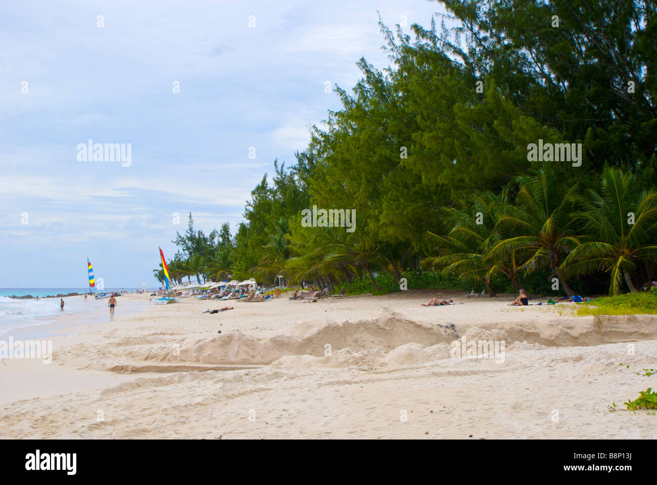Südküste von Barbados tropischen Strand mit Palmen, Sand und Meer Stockfoto