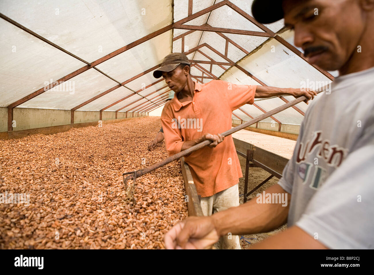 Kakaoverarbeitung Fabrik, Dominikanische Republik Stockfoto