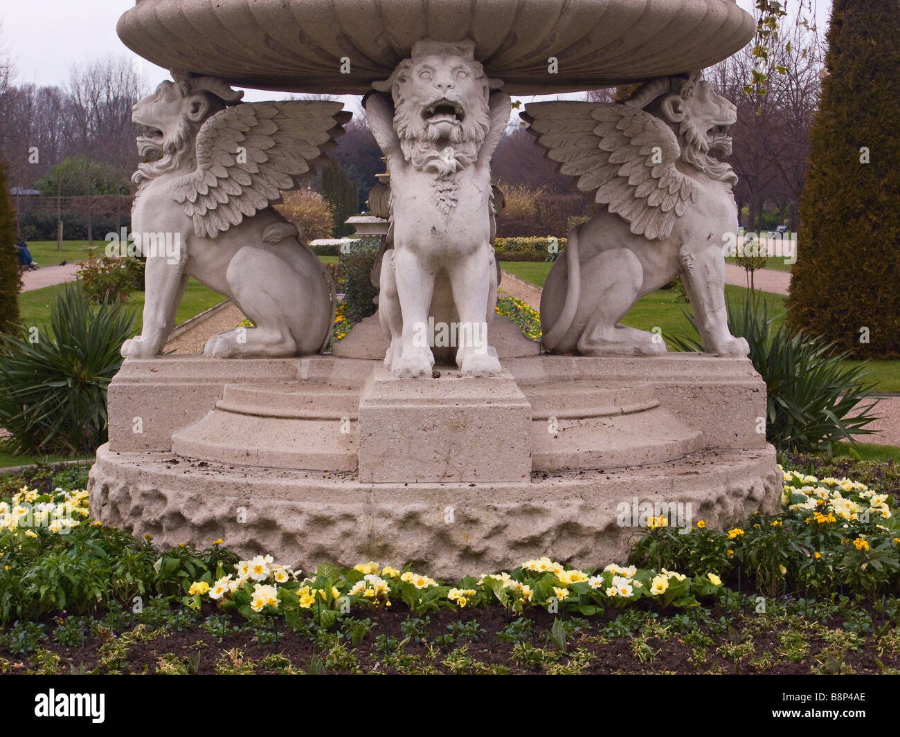 Der Springbrunnen aus Griffin Tazza oder Lion Vase aus Stein, umgeben von Primrosen im frühen Frühling im Regents Park, London, Großbritannien Stockfoto