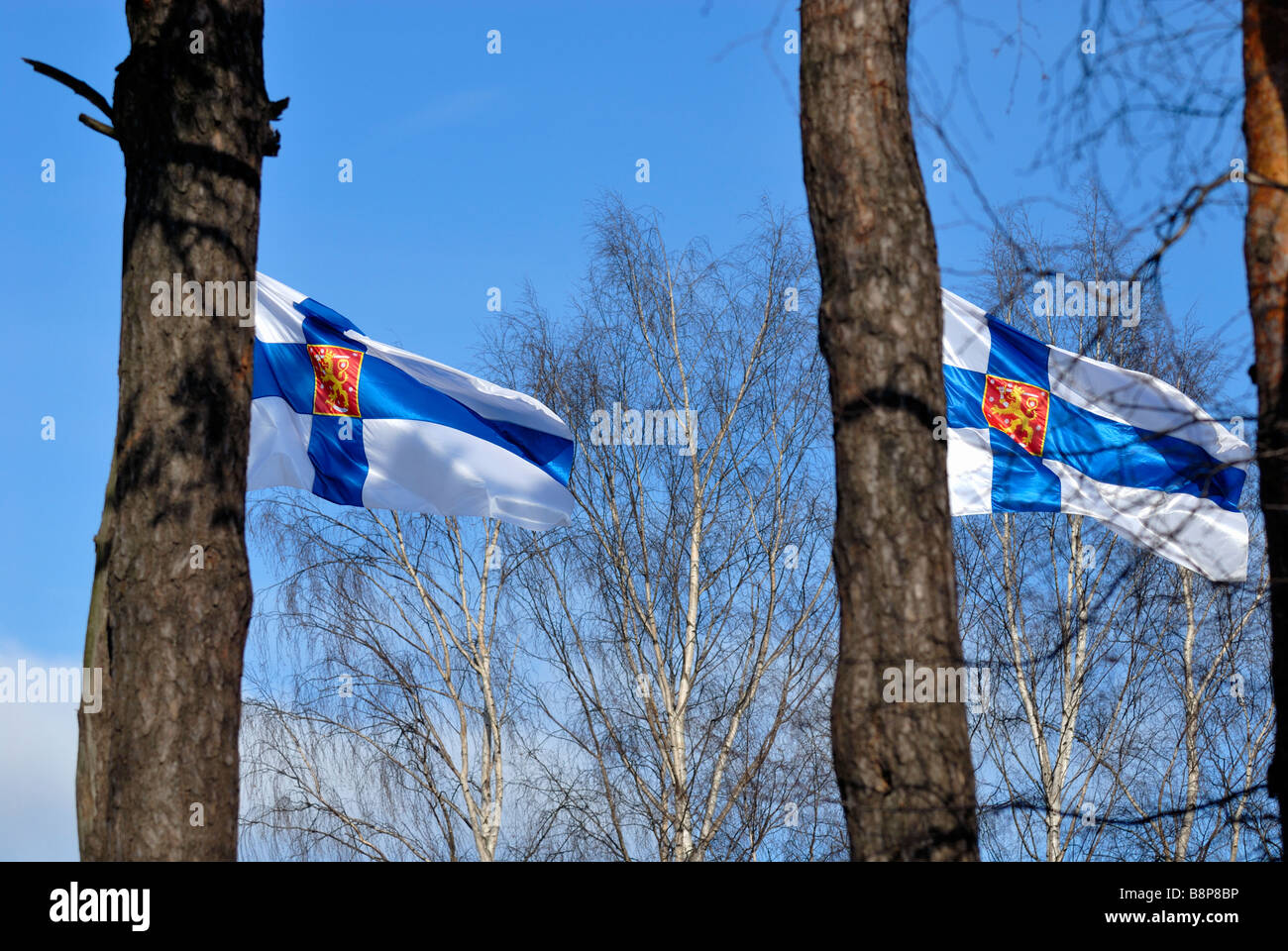 Die weltweite Wirtschaftskrise haben hart getroffen, der finnischen Forstindustrie. Die finnische Flaggen sind auf "halbe Pol" gesenkt. Helsinki Stockfoto