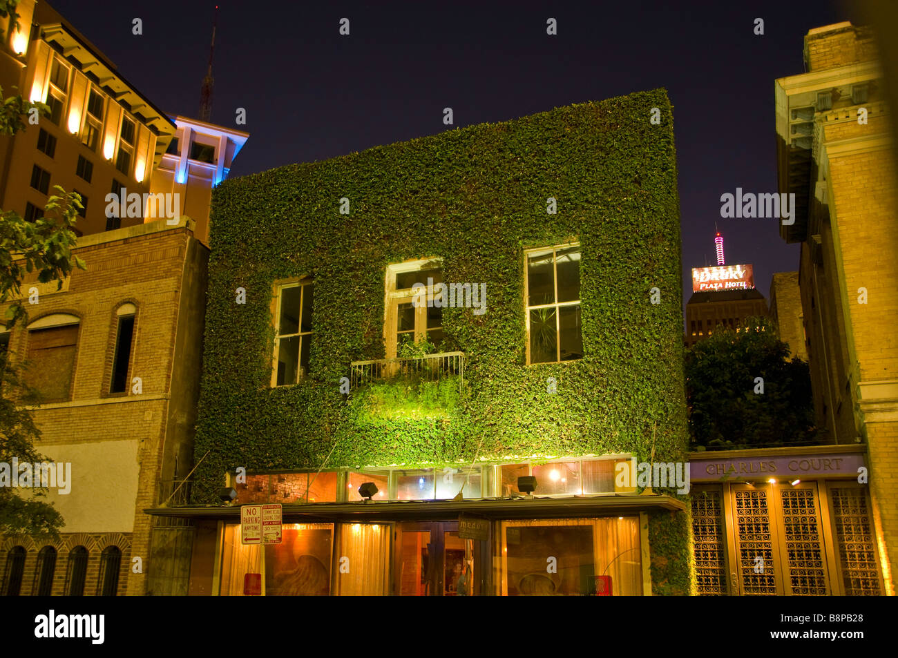 Die Innenstadt von San Antonio bei Nacht beleuchtete Gebäude bedeckt in grünen Efeu Texas tx Stockfoto