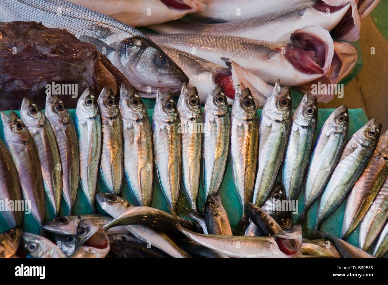 Fisch zum Verkauf in einem türkischen Markt Stockfoto