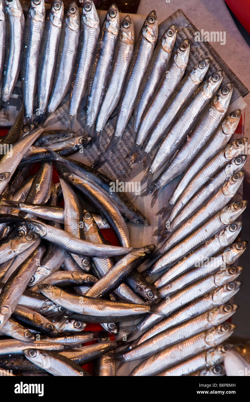 Eine Darstellung der Fische in einem türkischen Fischmarkt Stockfoto