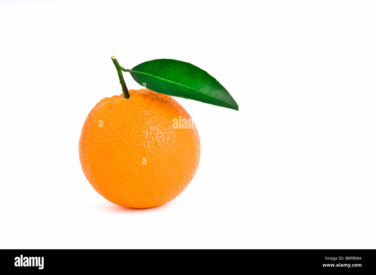 Orange mit Blatt isoliert auf weißem Hintergrund hautnah Stockfoto