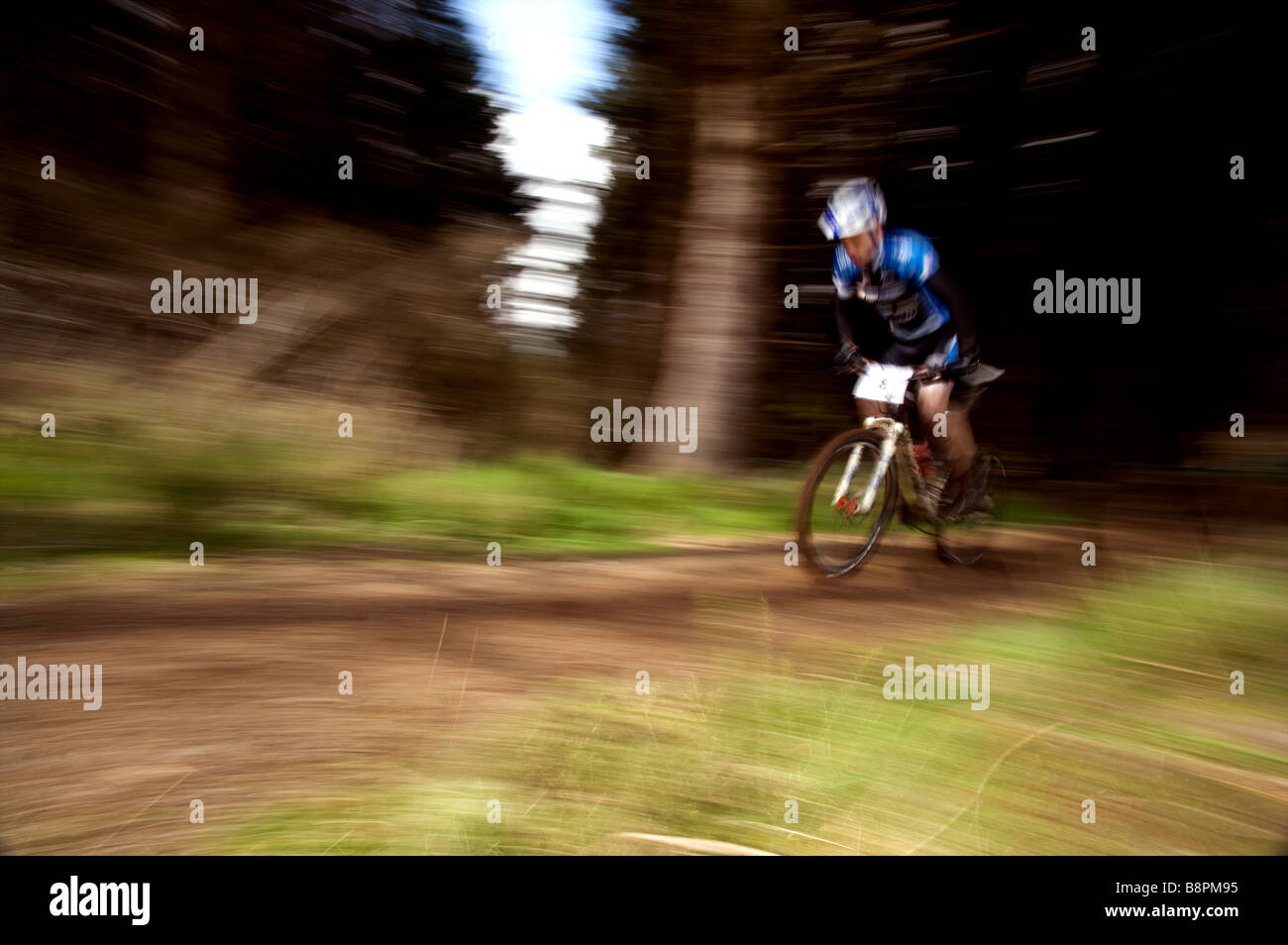 Mountainbike Rider bei Geschwindigkeit in Holz Stockfoto