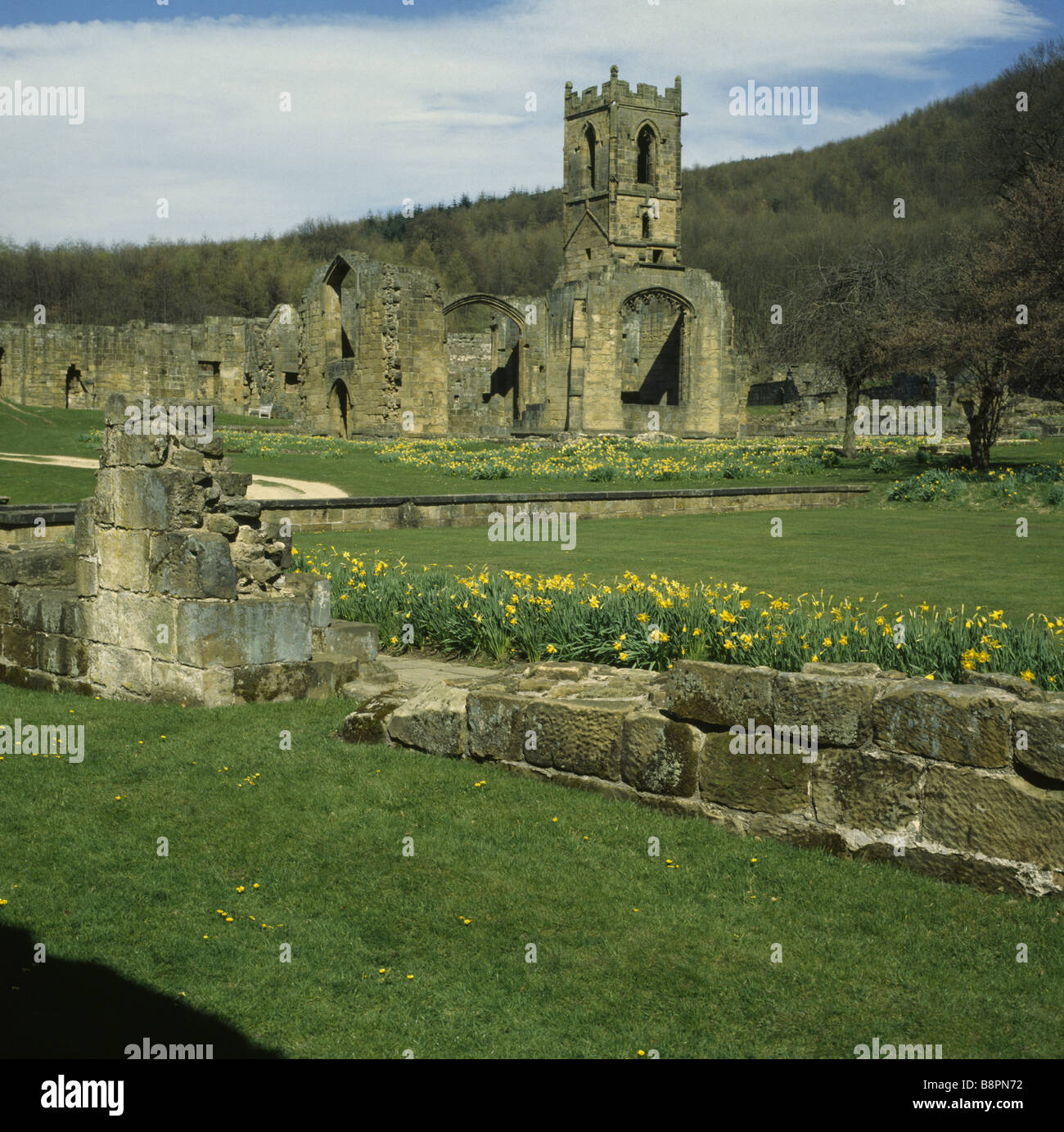 Ruinen des Kartäuser Klosters C14th Stockfoto