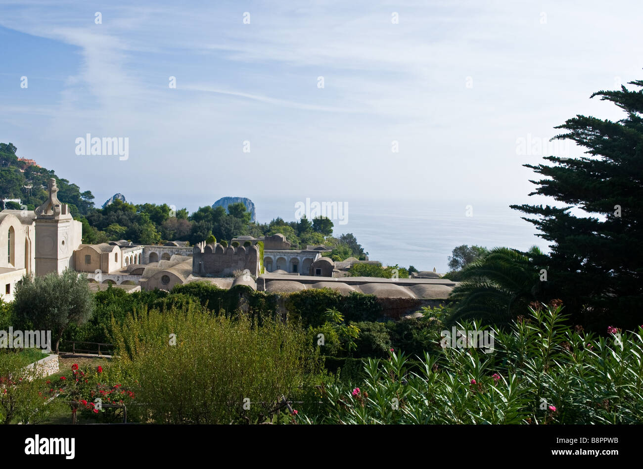 Italien-Capri Certosa s park Stockfoto