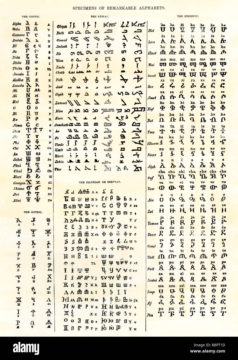 Verschiedenen alten Alphabete: Koptische, Syrisch, Ethioptic, Gothic und Illyrischen Servian. Holzschnitt mit einem Aquarell waschen Stockfoto