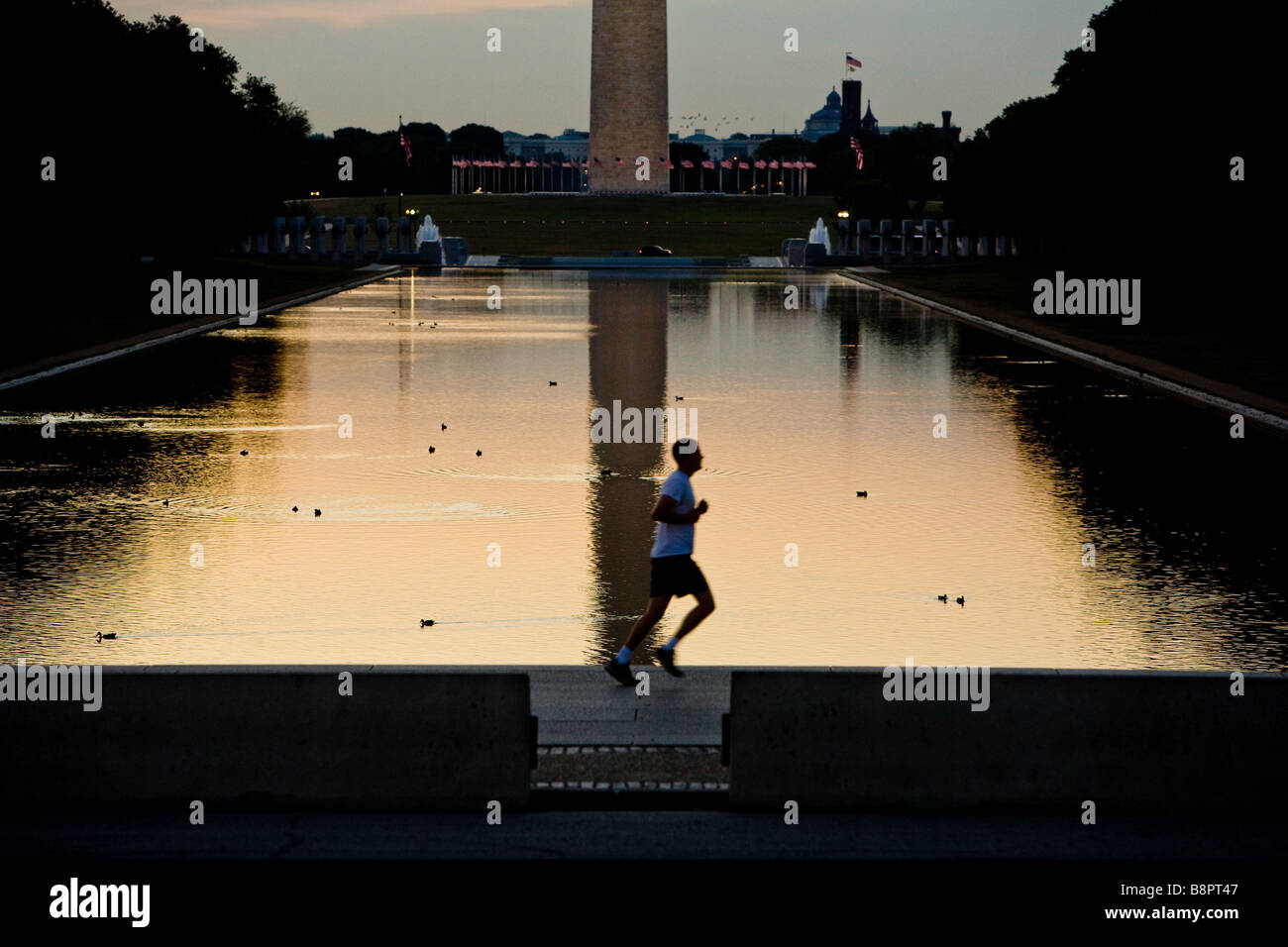Ein Läufer joggt durch den Reflecting Pool bei Sonnenaufgang in Washington, DC. Stockfoto