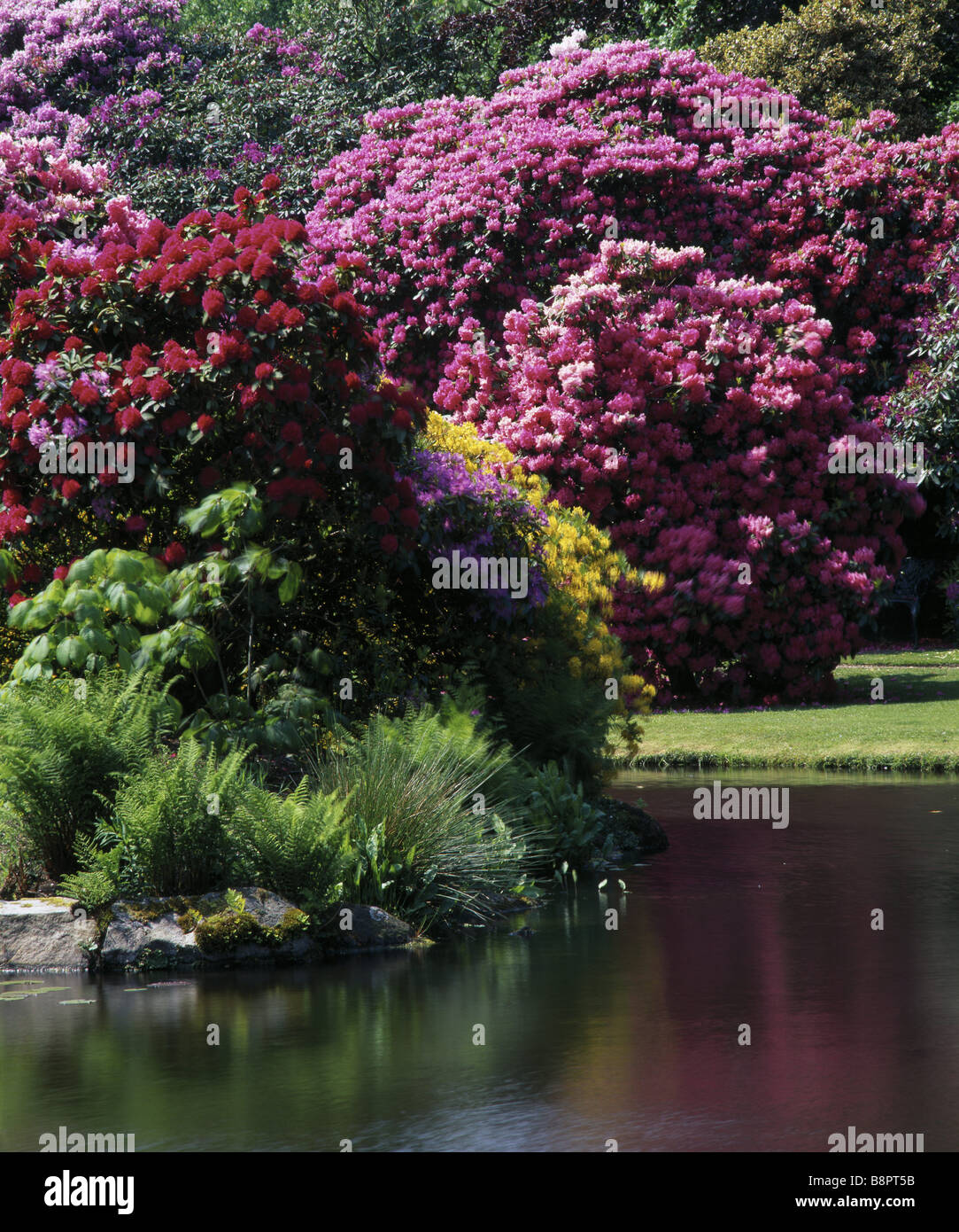 Biddulph Grange Stockfoto