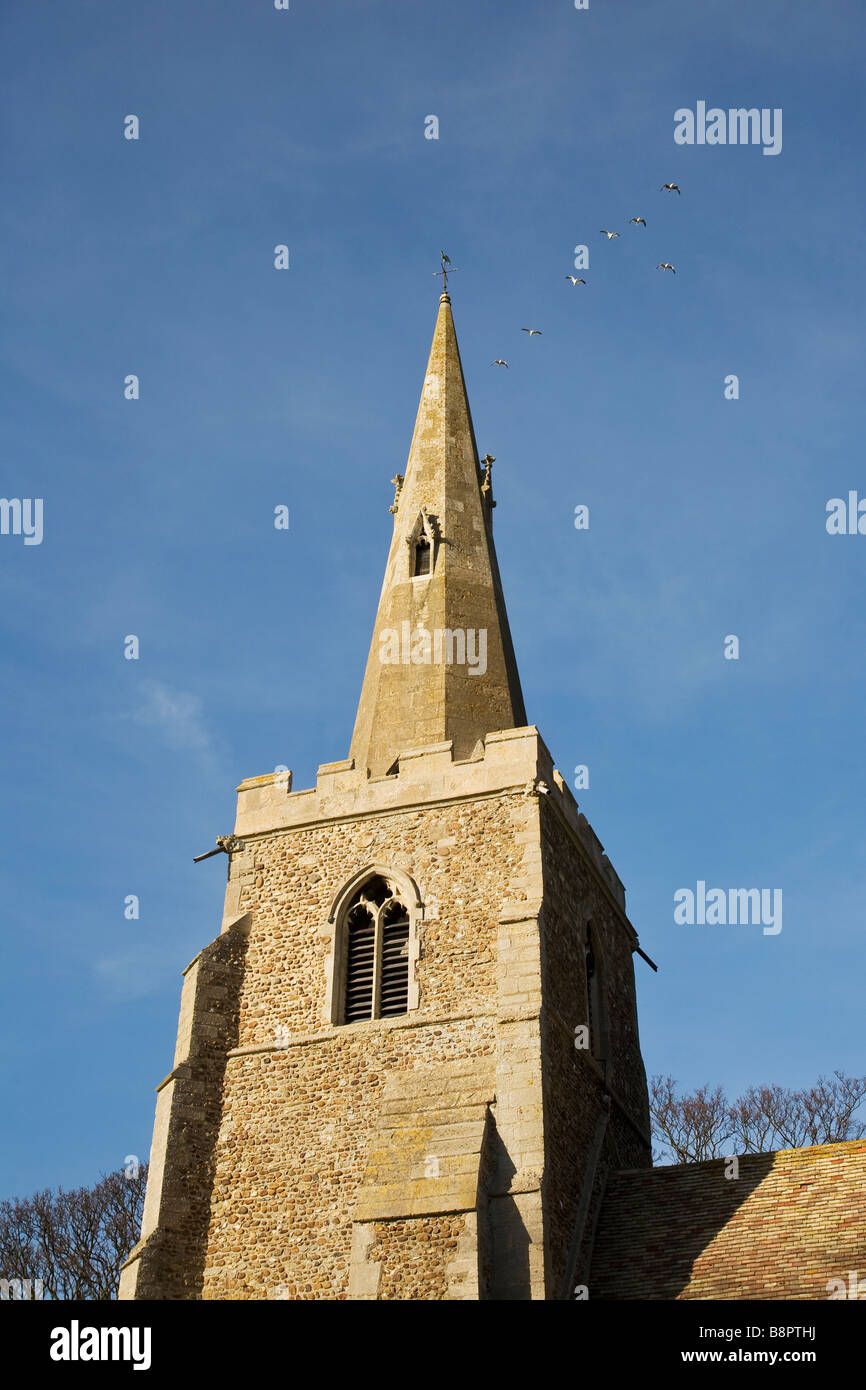 Spire in All Saints Church, Longstanton, Cambridgeshire, England Stockfoto