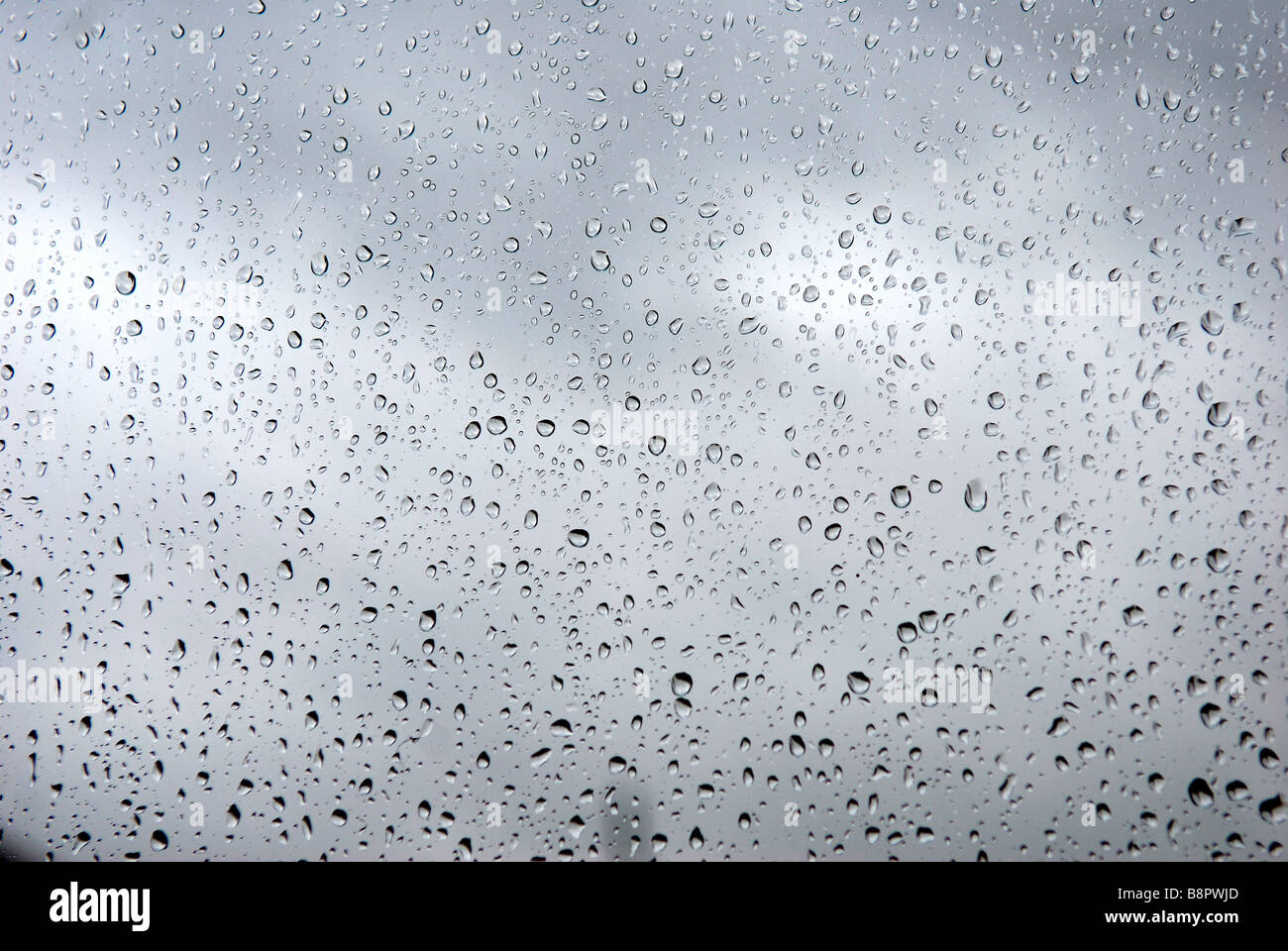 Regentropfen-Fenster. Stockfoto