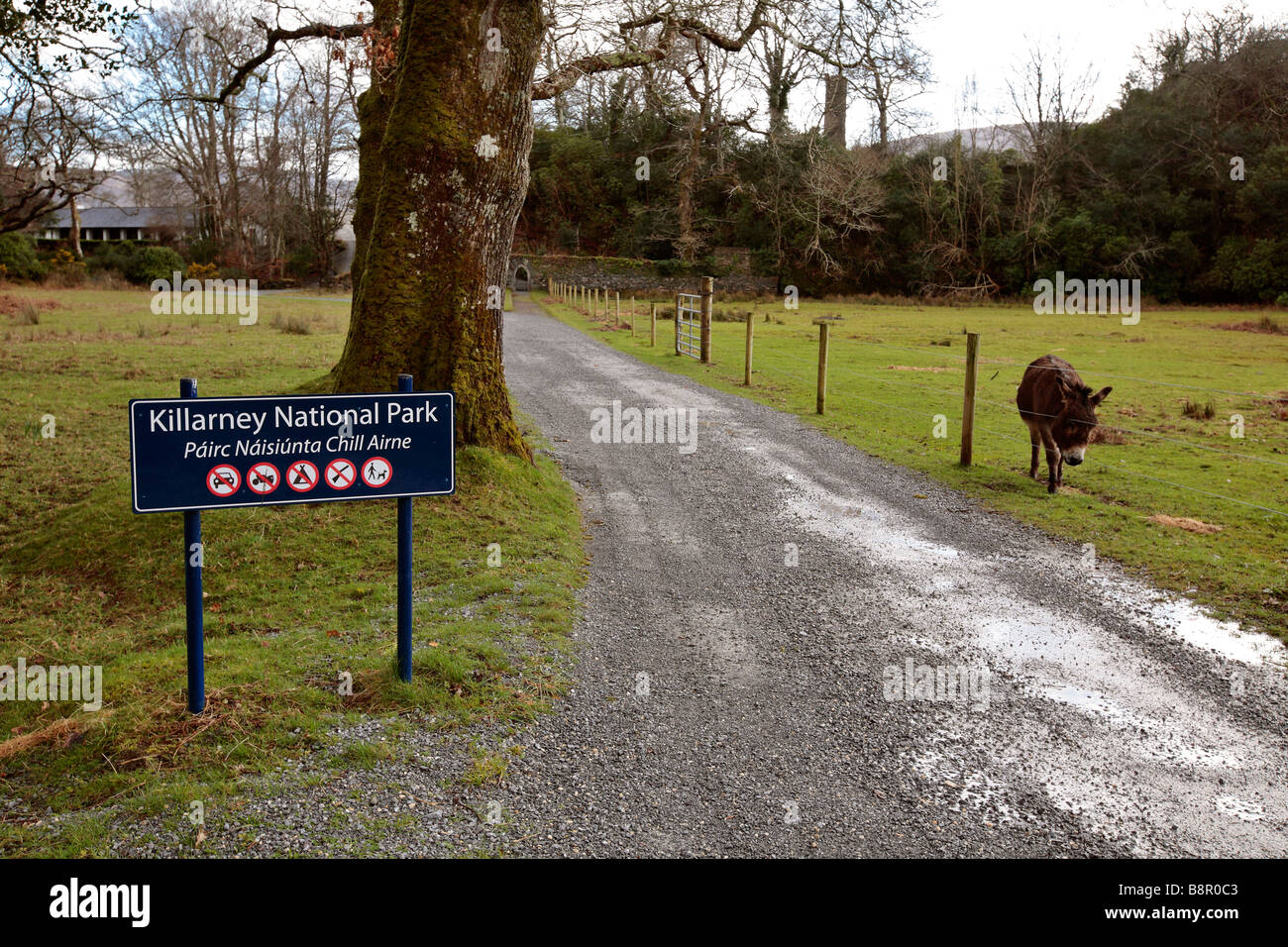 Killarney National Park Stockfoto