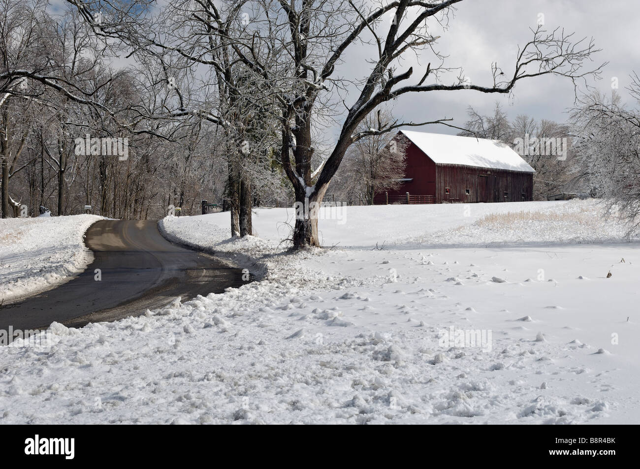 Im mittleren Westen Farm nach Eissturm in Floyd County Indiana in Schnee und Eis bedeckt Stockfoto