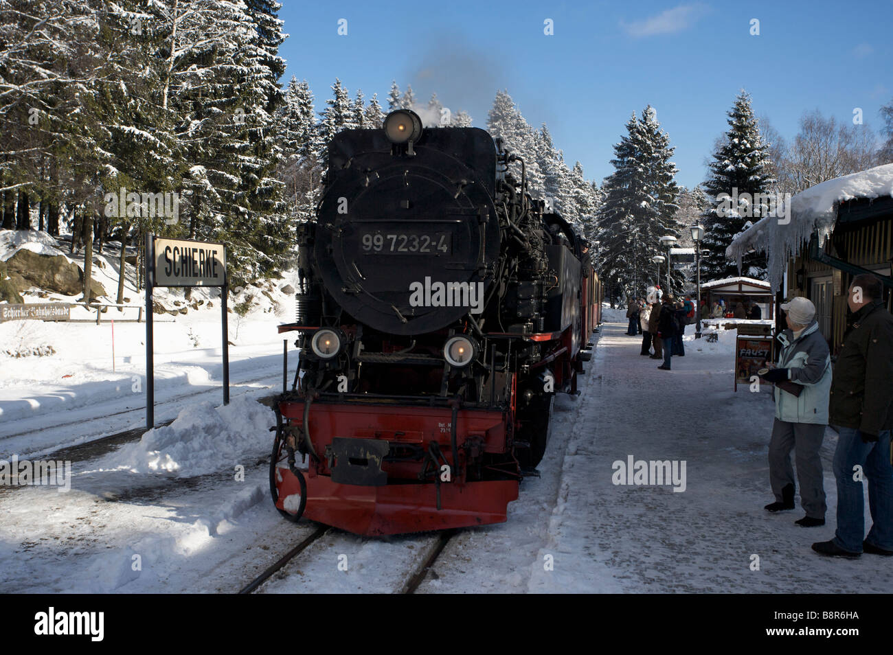 Dampfzug im Bahnhof Schierke im Harz Stockfoto