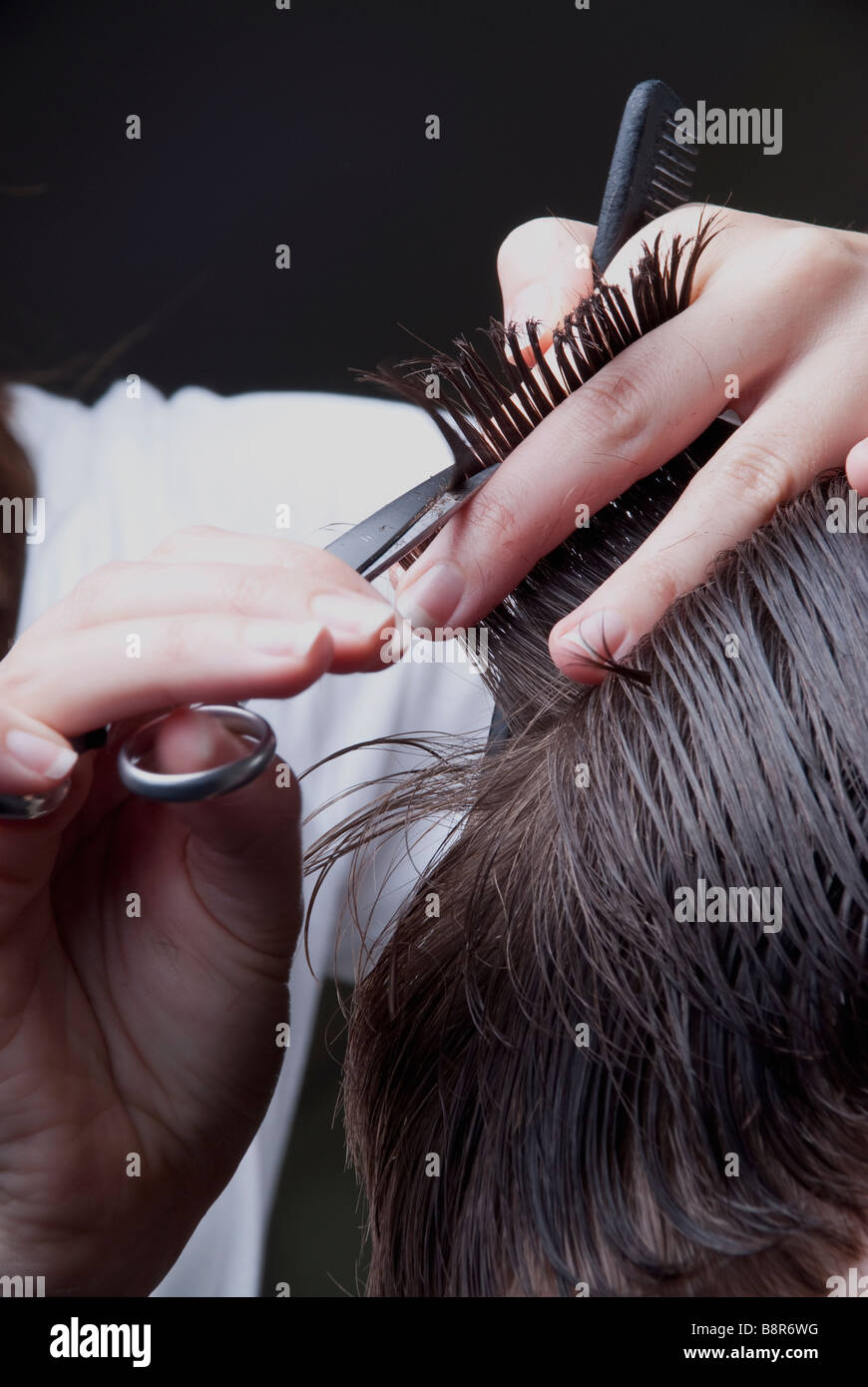 ein Close Up von ein Mann/Frau seine/ihre Haare schneiden / getrimmt Stockfoto