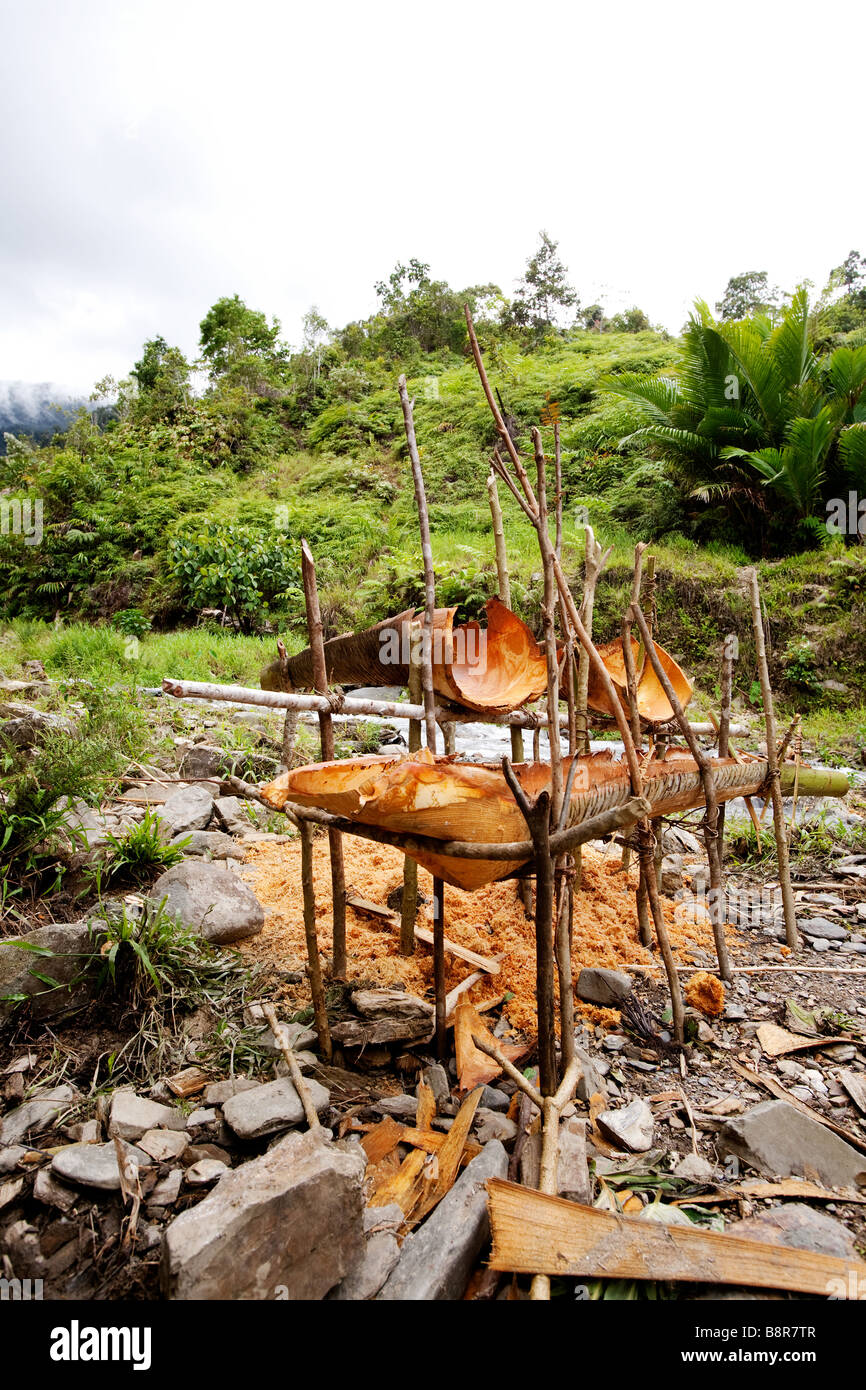 Primitiven noch nützliche Werkzeuge zur Herstellung von Sago ein Grundnahrungsmittel in Papua Neuguinea und Indonesien Stockfoto