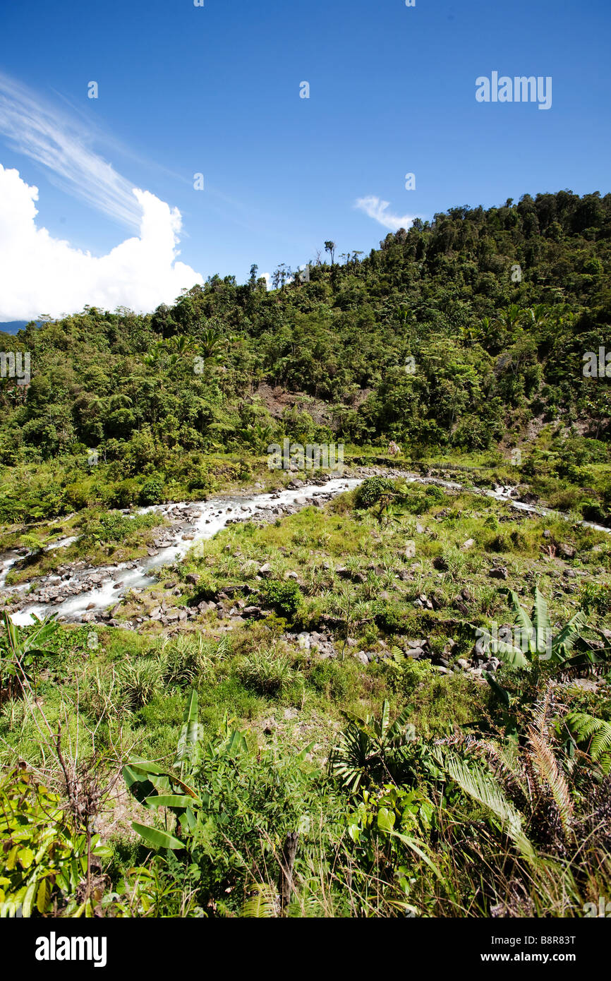 Eine tropische Berglandschaft in Papua, Indonesien Stockfoto