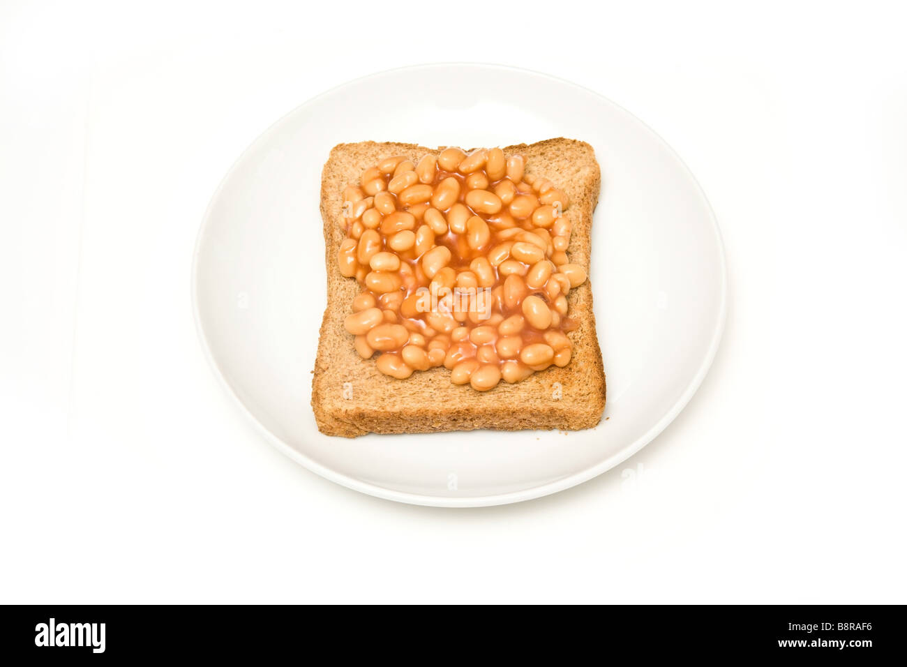 Teller mit Bohnen auf Toast isoliert auf einem weißen Studio-Hintergrund Stockfoto
