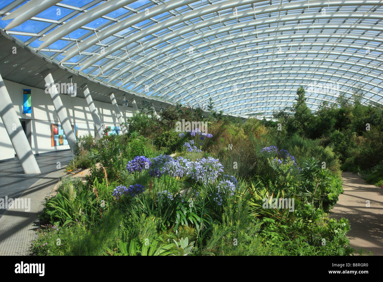 Das große Gewächshaus, National Botanic Garden of Wales Stockfoto