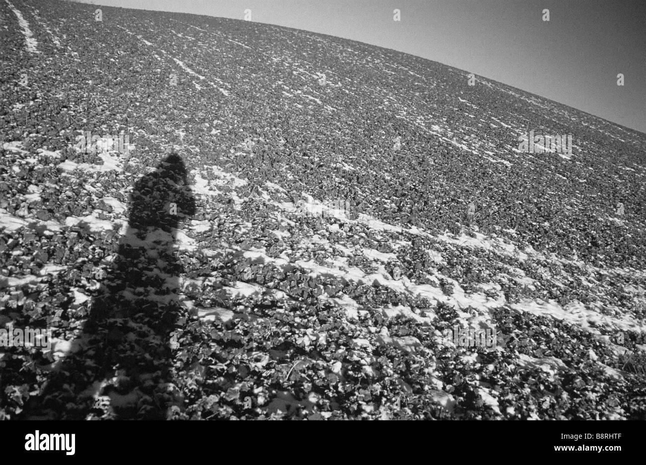 WINTER-FELD Stockfoto