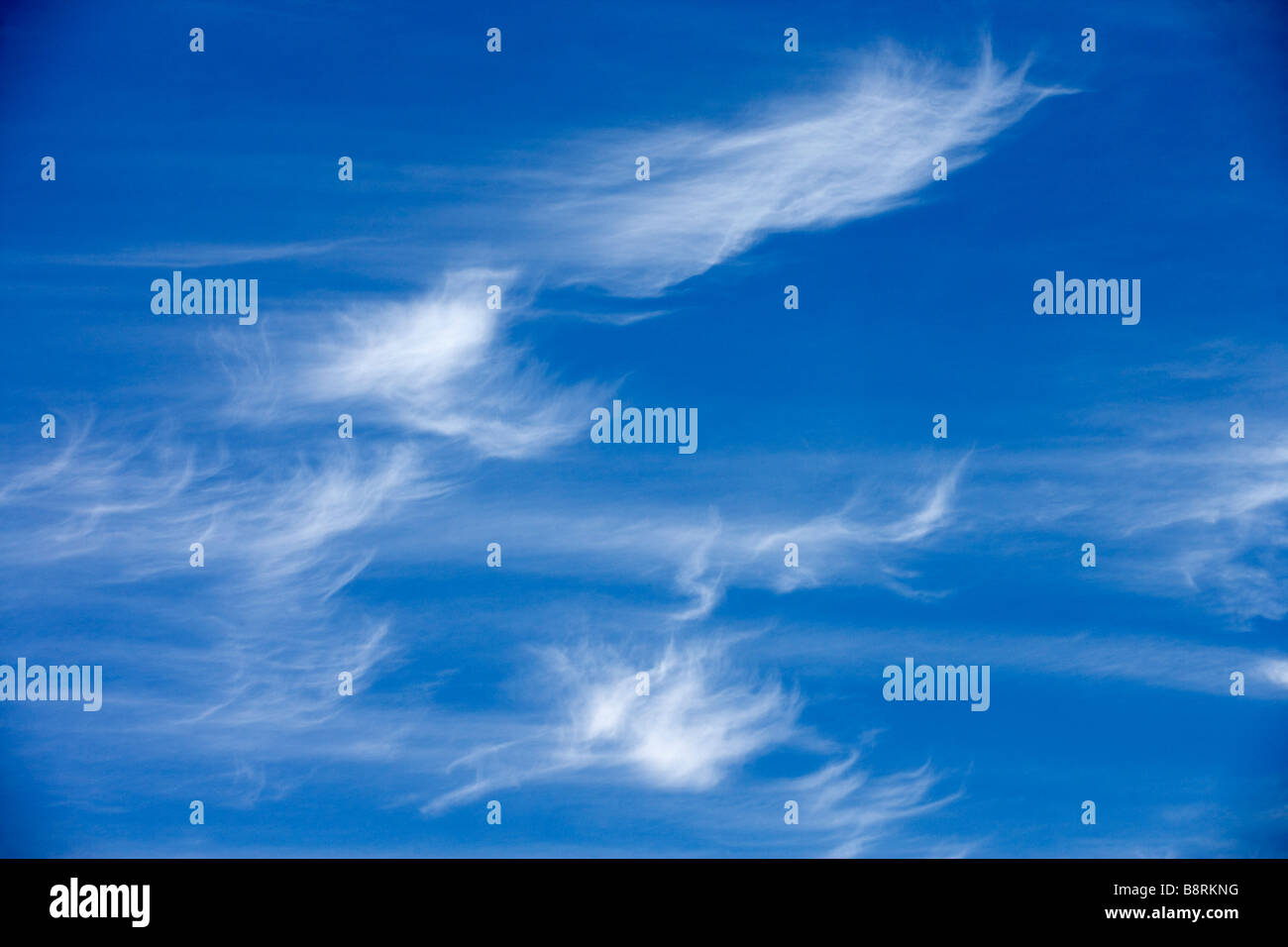 Cirruswolken schweben über einen blauen Himmel. Stockfoto