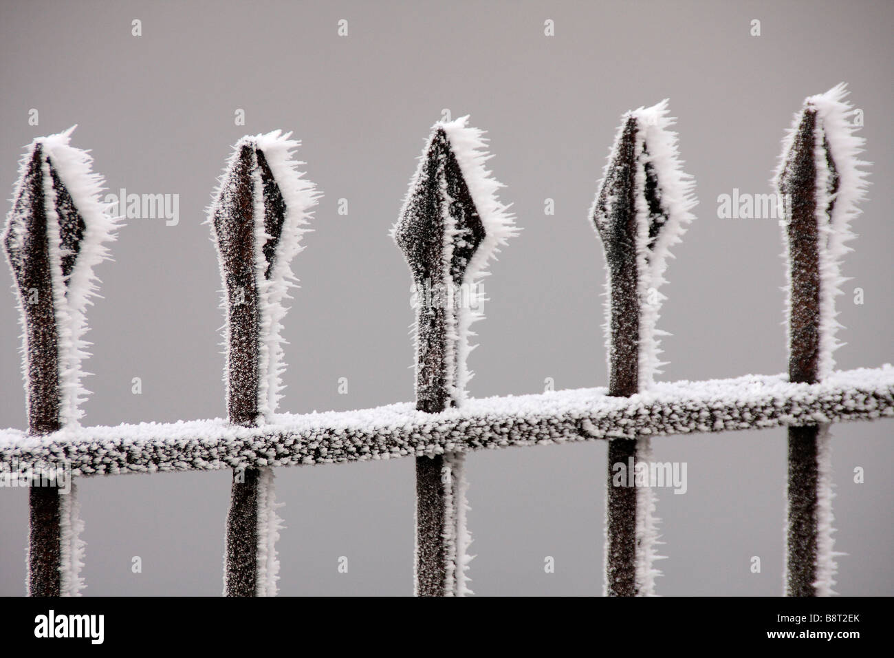 Frost am Geländer Brecon Beacons Nationalpark Powys Mitte Wales UK Stockfoto