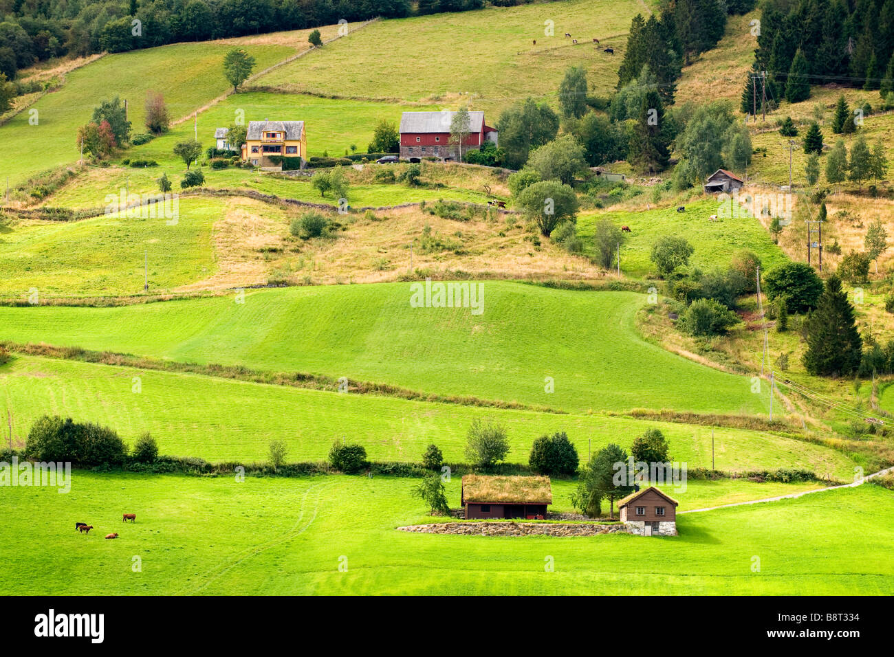 Aussicht auf Hügel und Bauernhöfe in der Nähe von Olden, Norwegen Stockfoto