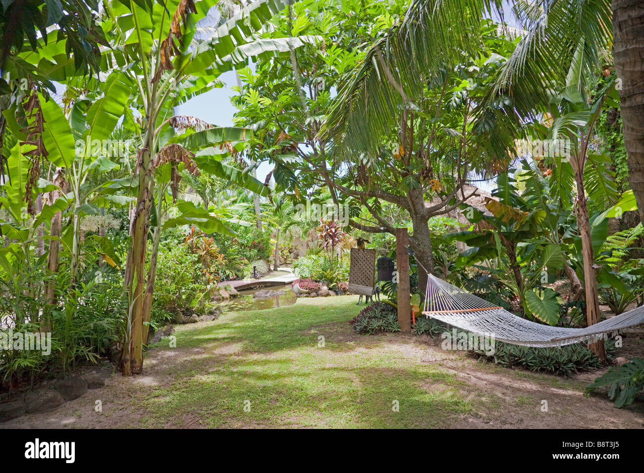 Der tropische Garten mit Hängematte - Rarotonga, Cook-Inseln, Polynesien, Oceania Stockfoto