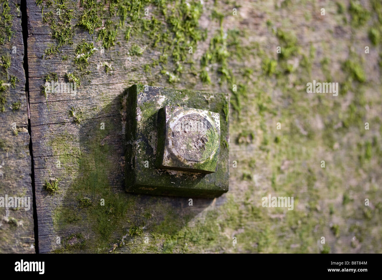 Nahaufnahme Detail der Buhne in bournemouth Stockfoto