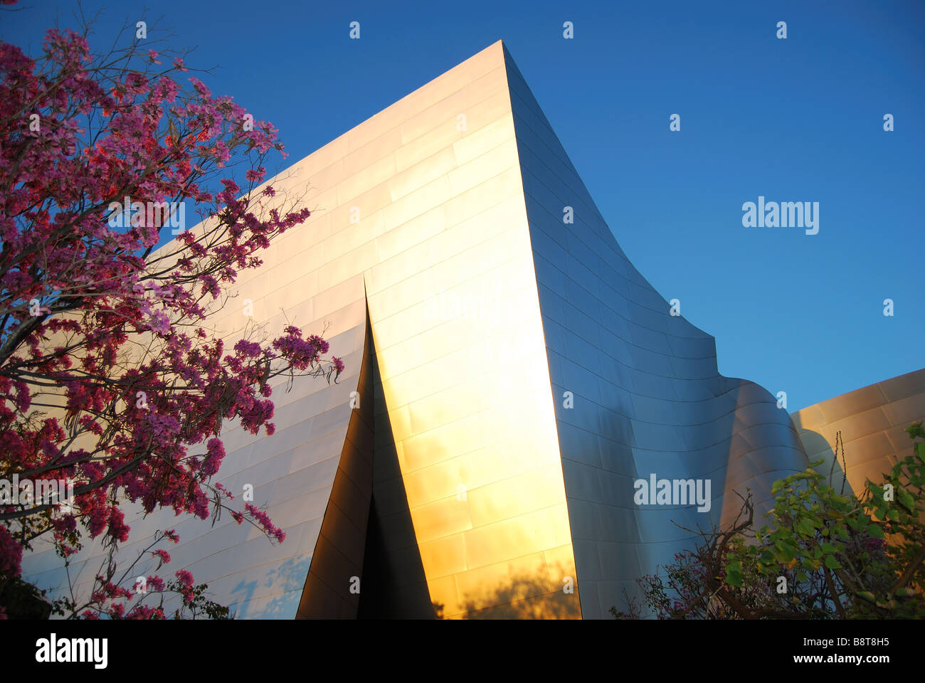 Walt Disney Concert Hall bei Dämmerung, S.Grand Avenue, Downtown, Los Angeles, California, Vereinigte Staaten Stockfoto