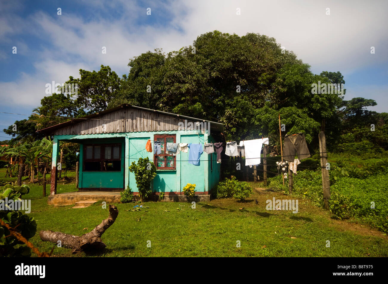 Typisches Haus auf Corn Island, Karibik, Nicaragua mit Zinkdach und Garten. Stockfoto