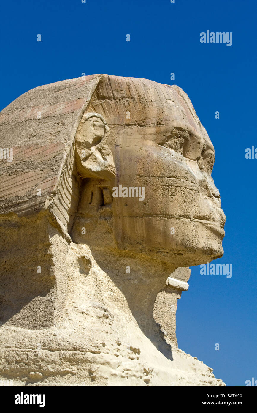 Porträt von die große Sphinx von Gizeh in Ägypten Stockfoto
