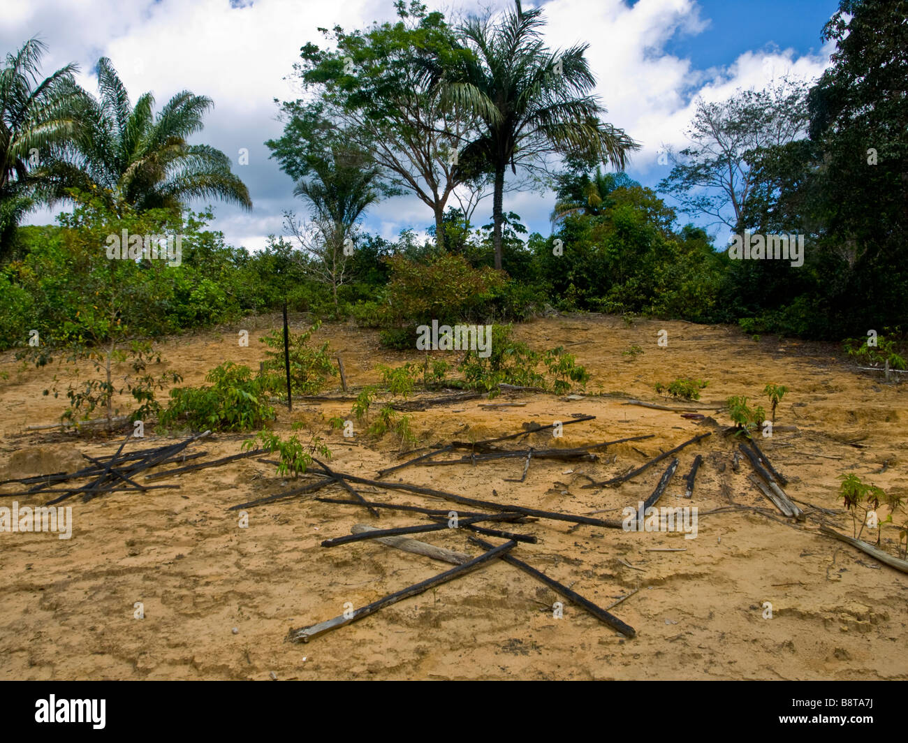 Haus abgebrannt durch den Sohn nach seinem Tod Väter: Jamaraqua, Nationalwald Tapajos, Para, Brasilien. Stockfoto